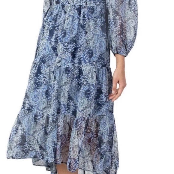 Joie Printed Parisian Blue Paisley Floral Maxi Dress NWT
Size XXL. - Picture 3 of 15